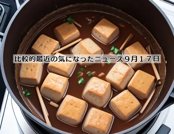 比較的最近の気になったニュース９月１７日